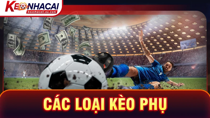 Các loại kèo phụ cũng được cung cấp đầy đủ tại manchesterpark.co